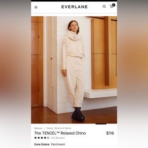 Everlane The Tencel Relaxed Chino